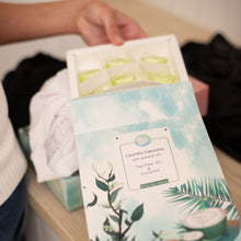 Load image into Gallery viewer, Laundry Capsules - Starter Bundle (60 Washes)